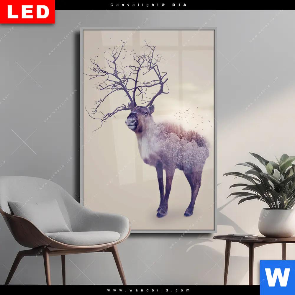 Wechselmotiv Acrylglas Canvalight® DIA | Hirsch & Wald No.1 | Hochformat