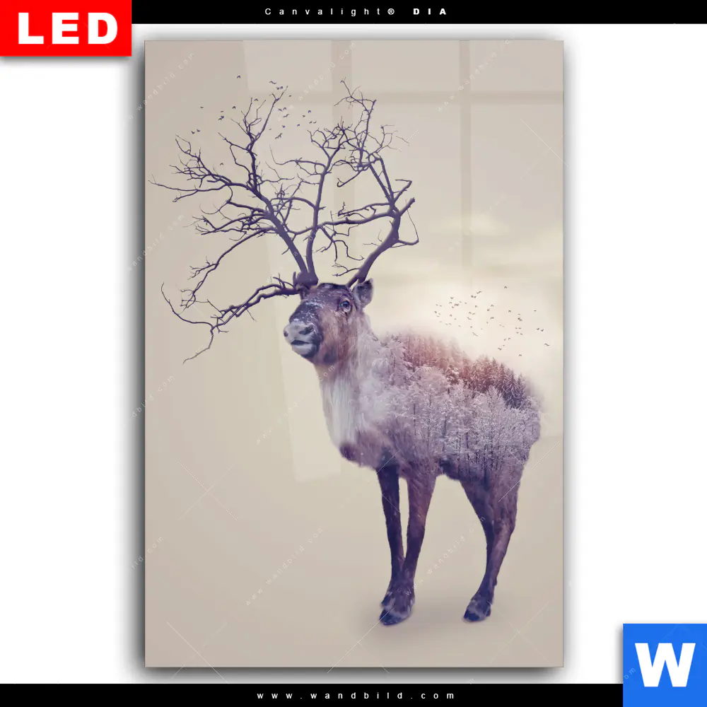 Wechselmotiv Acrylglas Canvalight® DIA | Hirsch & Wald No.1 | Hochformat - Image 2