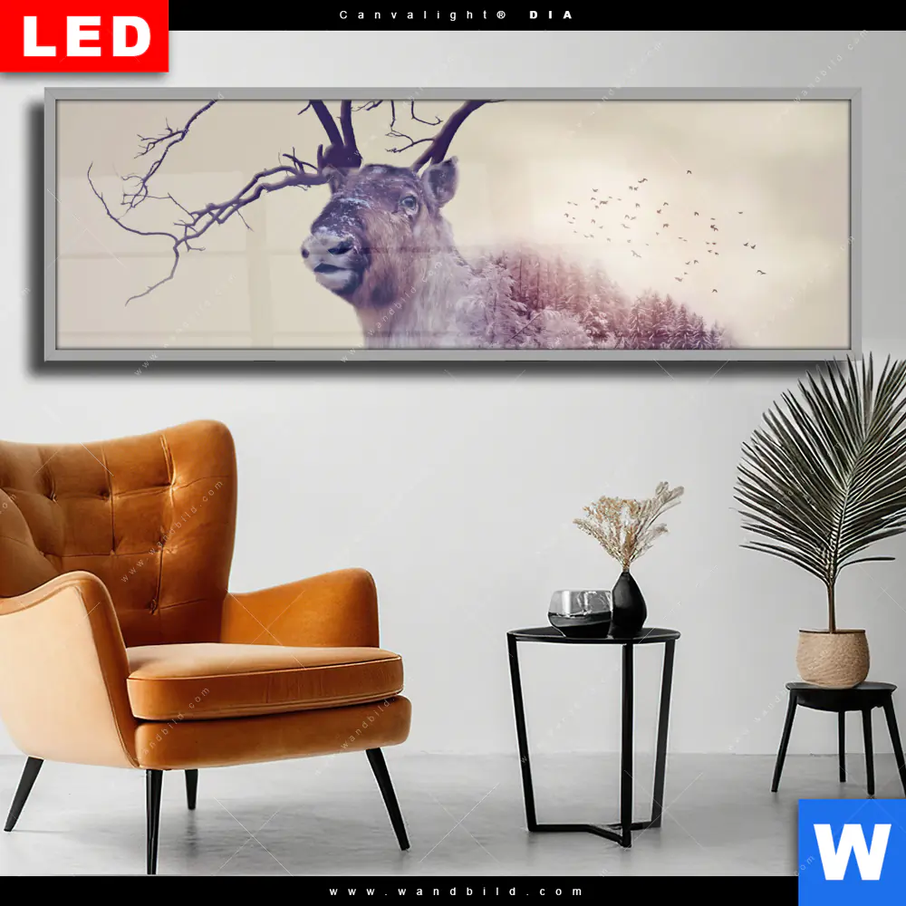 Wechselmotiv Acrylglas Canvalight® DIA | Hirsch & Wald No.1 | Panorama