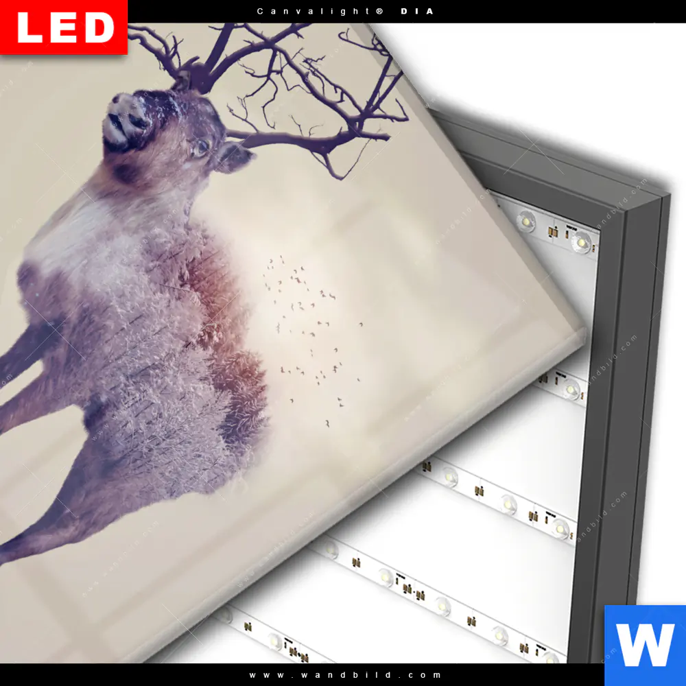 Wechselmotiv Acrylglas Canvalight® DIA | Hirsch & Wald No.1 | Quadrat - Image 3