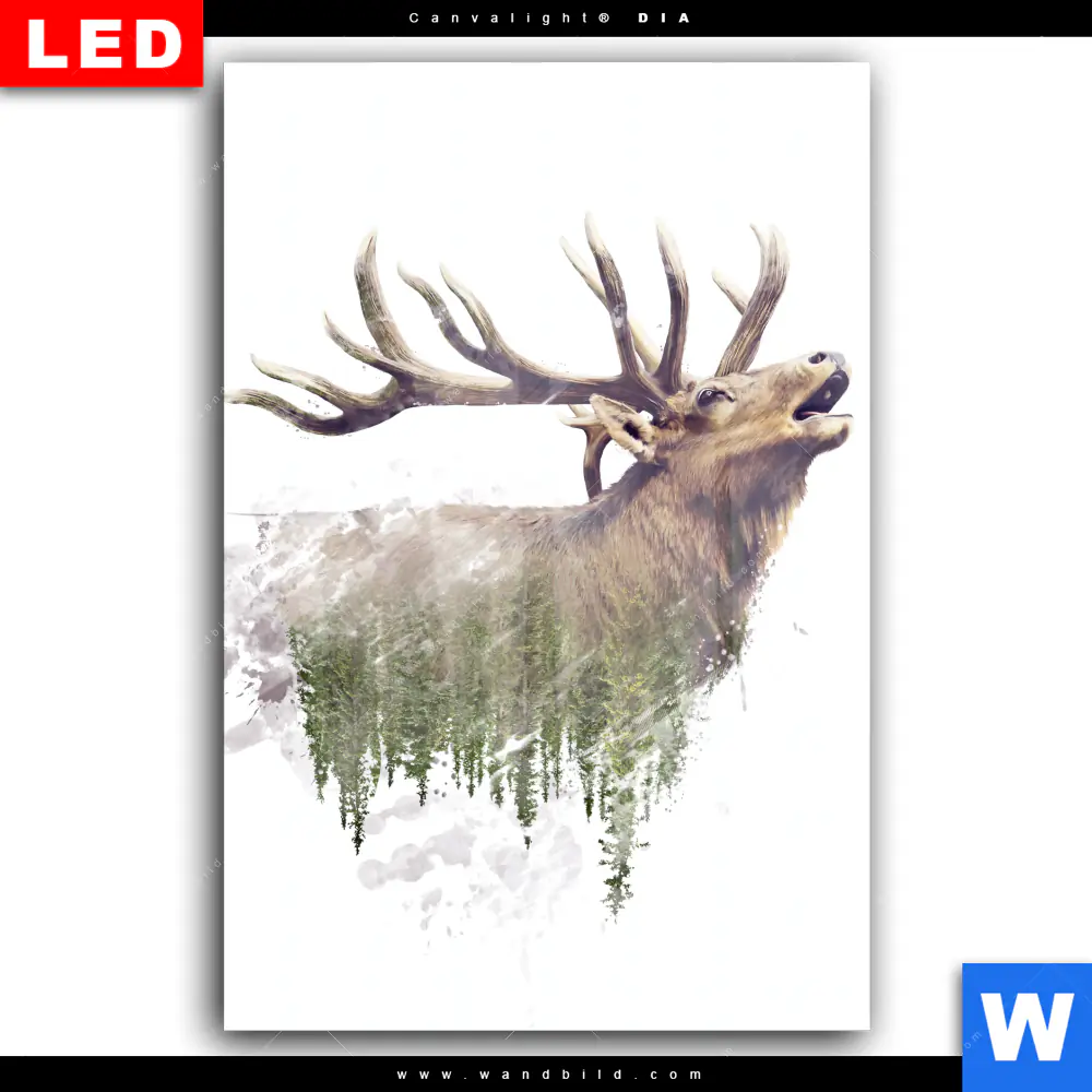 Wechselmotiv Acrylglas Canvalight® DIA | Hirsch & Wald No.2 | Hochformat - Image 2