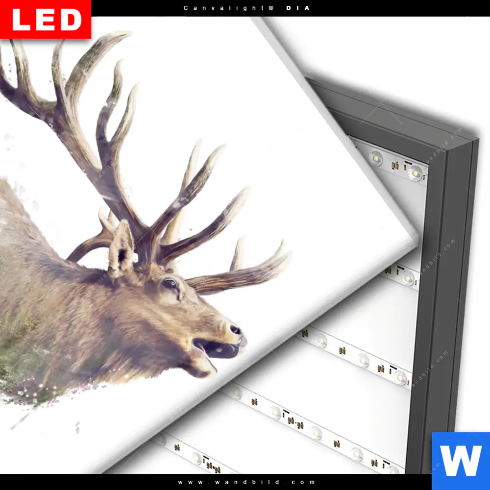 Wechselmotiv Acrylglas Canvalight® DIA | Hirsch & Wald No.2 | Hochformat - Image 3