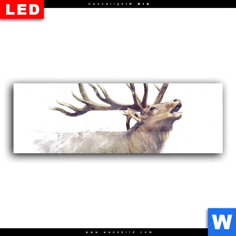 Wechselmotiv Acrylglas Canvalight® DIA | Hirsch & Wald No.2 | Panorama - Image 2