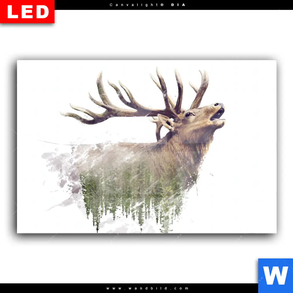 Wechselmotiv Acrylglas Canvalight® DIA | Hirsch & Wald No.2 | Querformat - Image 2