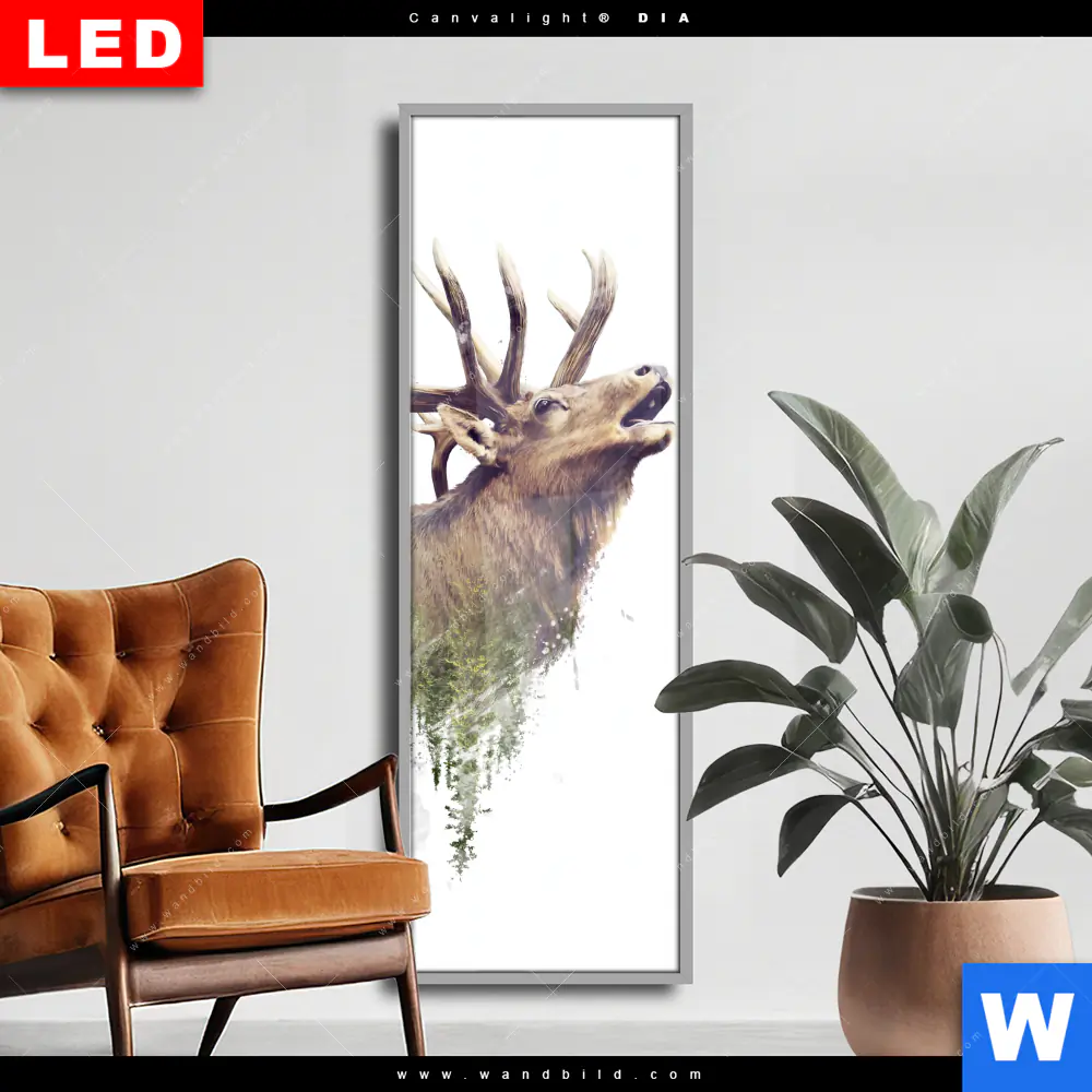 Wechselmotiv Acrylglas Canvalight® DIA | Hirsch & Wald No.2 | Schmal