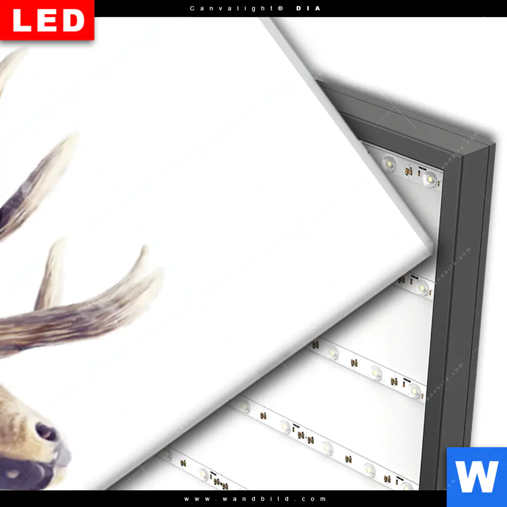 Wechselmotiv Acrylglas Canvalight® DIA | Hirsch & Wald No.2 | Schmal - Image 3