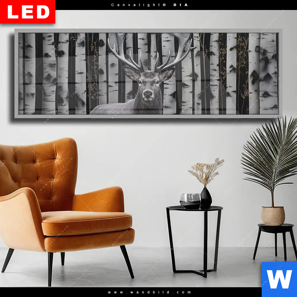 Wechselmotiv Acrylglas Canvalight® DIA | Hirschporträt vor Birken | Panorama