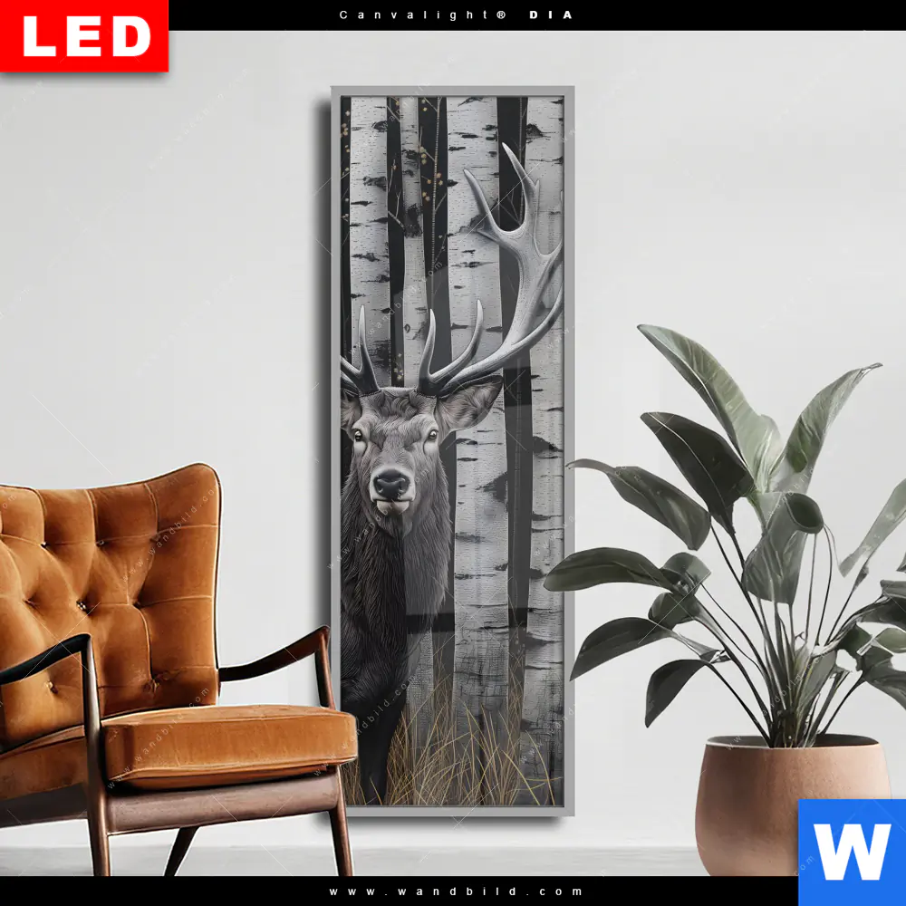 Wechselmotiv Acrylglas Canvalight® DIA | Hirschporträt vor Birken | Schmal