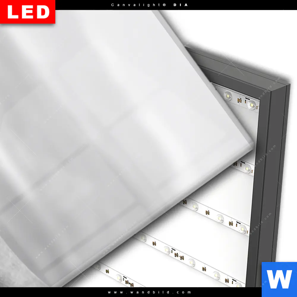 Wechselmotiv Acrylglas Canvalight® DIA | Hochland-Rind Schwarz-Weiß No. 2 | Schmal - Image 3