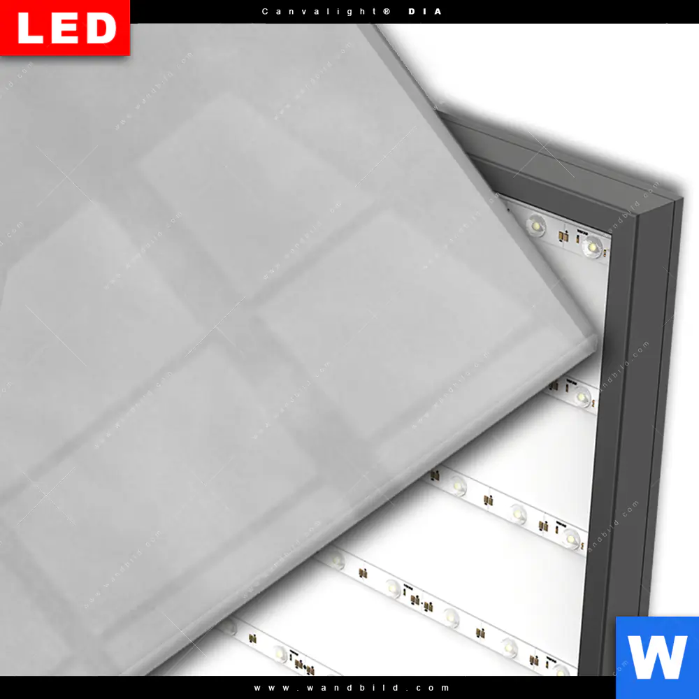Wechselmotiv Acrylglas Canvalight® DIA | Hochland-Rind Schwarz-Weiß | Schmal - Image 3