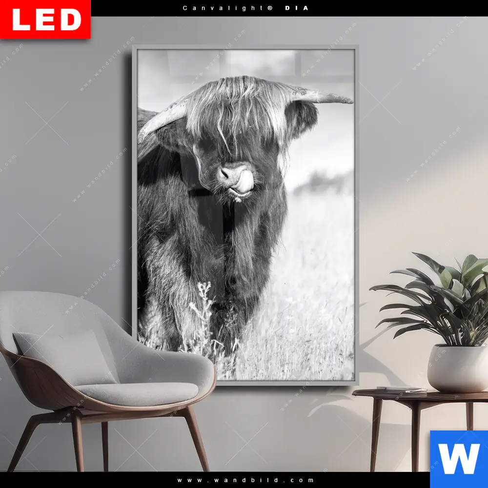 Wechselmotiv Acrylglas Canvalight® DIA | Hochlandkuh auf einer Wiese | Hochformat