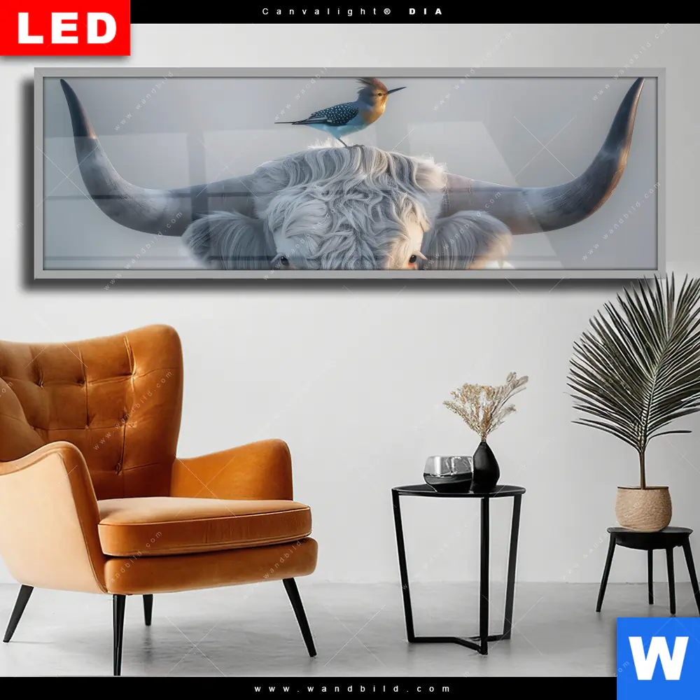 Wechselmotiv Acrylglas Canvalight® DIA | Hochlandrind & bunter Vogel | Panorama