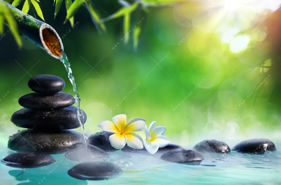Wechselmotiv Acrylglas Canvalight® DIA | Japanischer Brunnen | Hochformat - Image 5