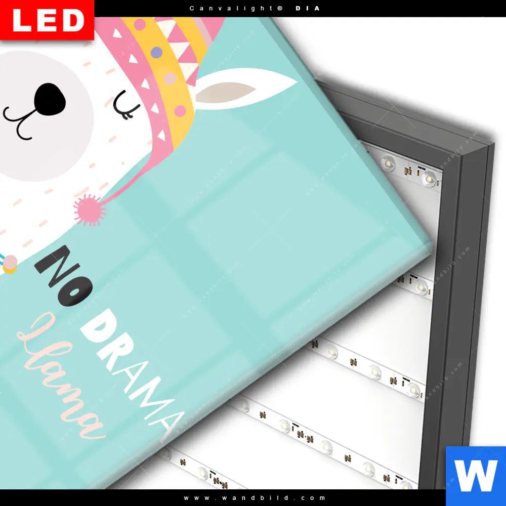Wechselmotiv Acrylglas Canvalight® DIA | Kein Drama Lama | Quadrat - Image 3