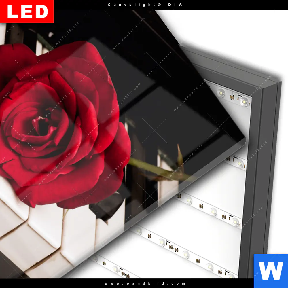Wechselmotiv Acrylglas Canvalight® DIA | Klavier & Rose | Hochformat - Image 3