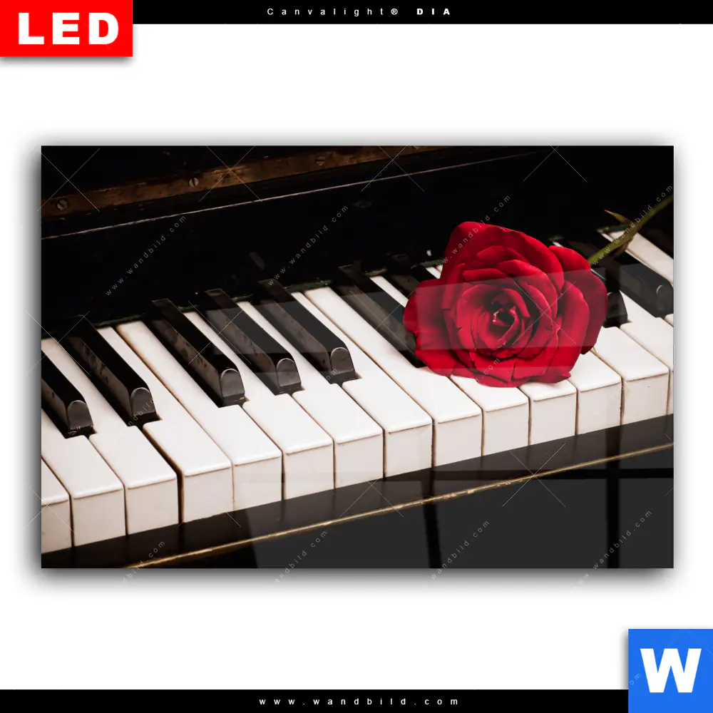 Wechselmotiv Acrylglas Canvalight® DIA | Klavier & Rose | Querformat - Image 2