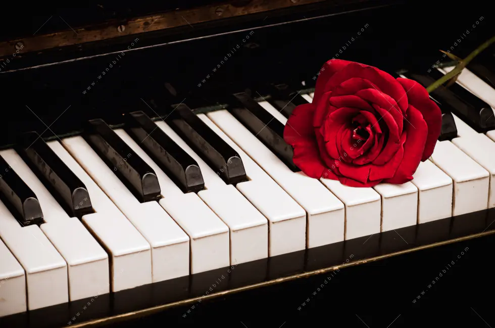 Wechselmotiv Acrylglas Canvalight® DIA | Klavier & Rose | Querformat - Image 5
