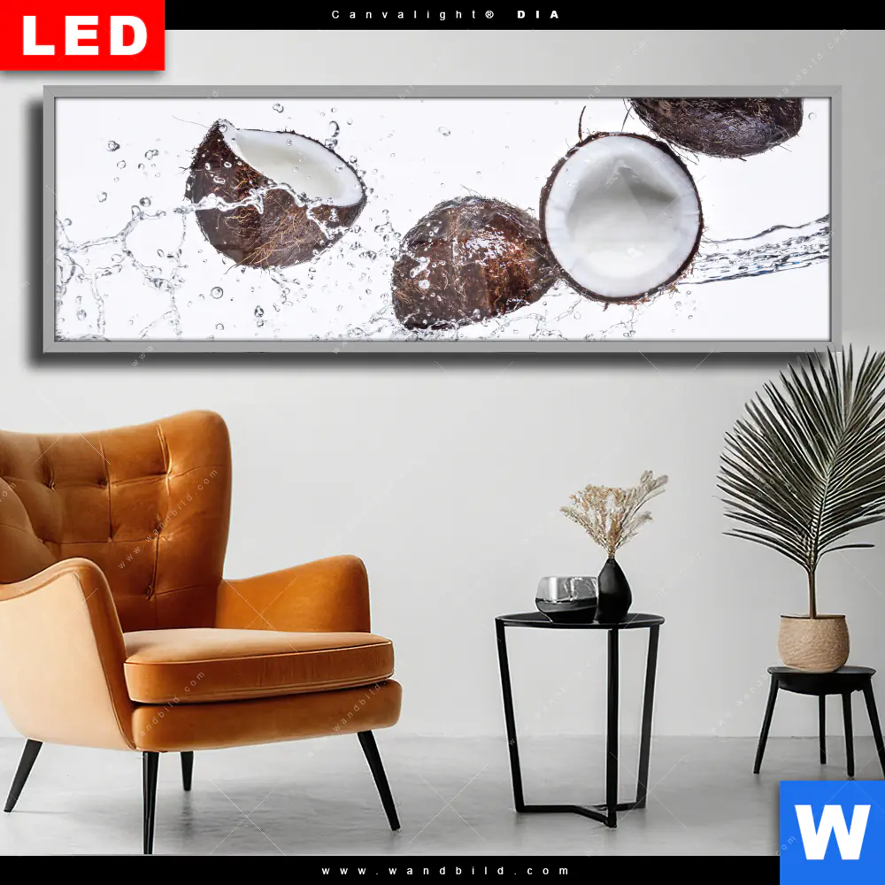 Wechselmotiv Acrylglas Canvalight® DIA | Kokosnüsse mit Wasserspritzer | Panorama
