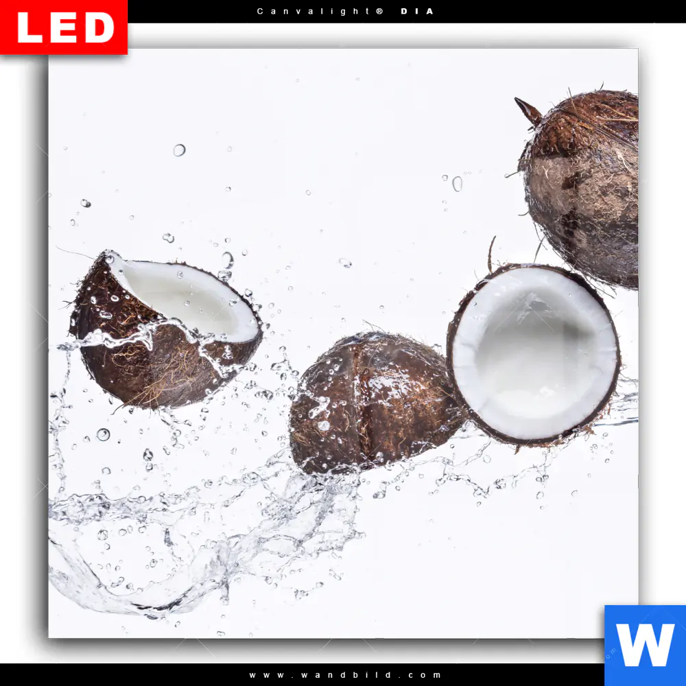 Wechselmotiv Acrylglas Canvalight® DIA | Kokosnüsse mit Wasserspritzer | Quadrat - Image 2