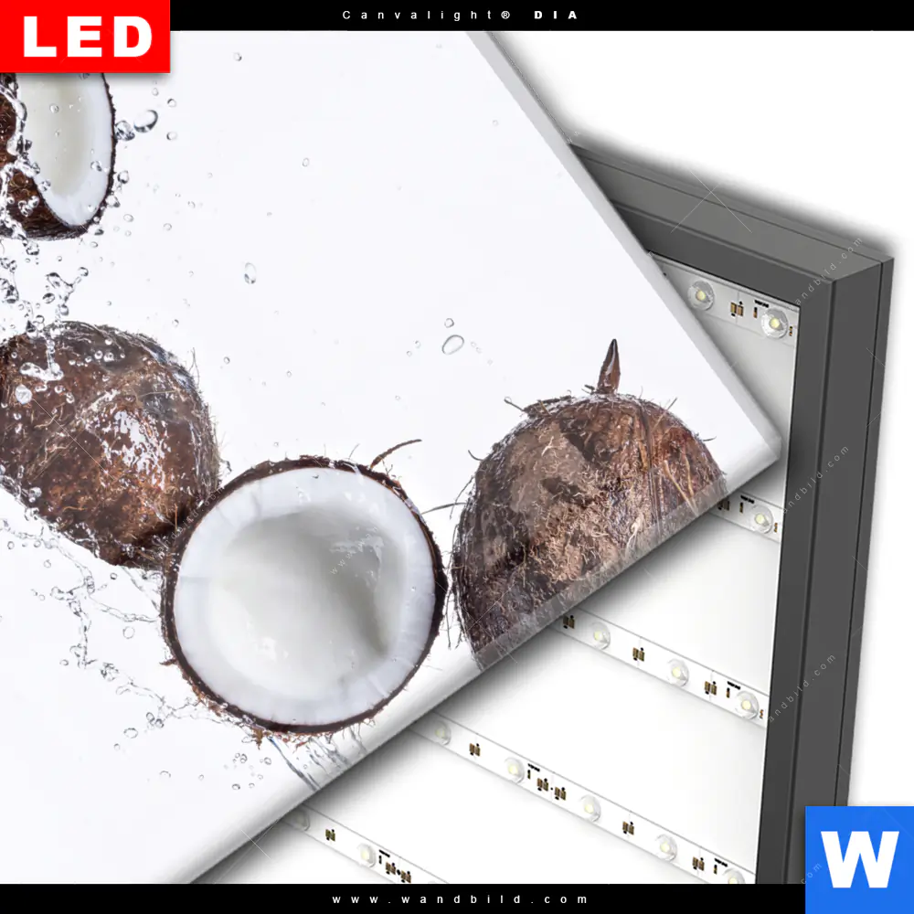 Wechselmotiv Acrylglas Canvalight® DIA | Kokosnüsse mit Wasserspritzer | Quadrat - Image 3