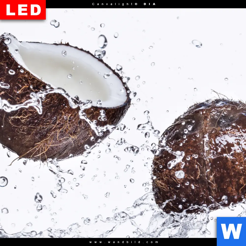 Wechselmotiv Acrylglas Canvalight® DIA | Kokosnüsse mit Wasserspritzer | Quadrat - Image 4
