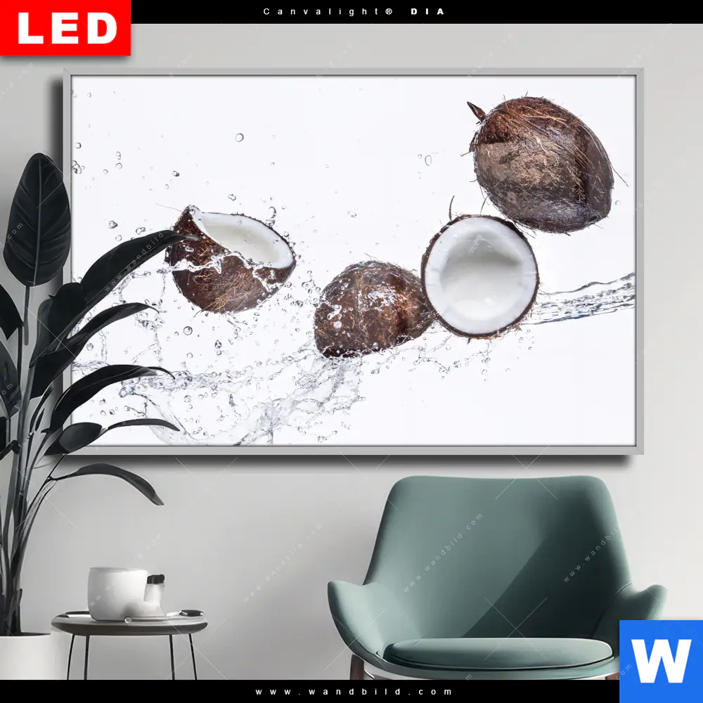 Wechselmotiv Acrylglas Canvalight® DIA | Kokosnüsse mit Wasserspritzer | Querformat