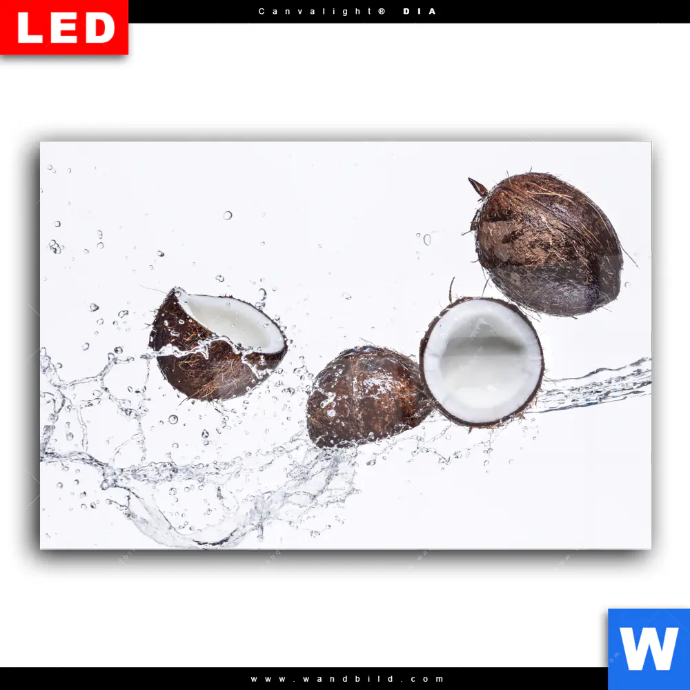 Wechselmotiv Acrylglas Canvalight® DIA | Kokosnüsse mit Wasserspritzer | Querformat - Image 2
