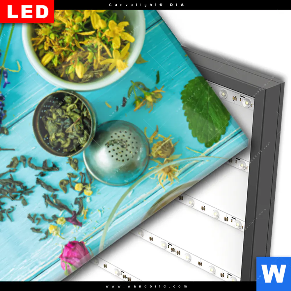Wechselmotiv Acrylglas Canvalight® DIA | Kräuter auf blauem Holztisch | Panorama - Image 3