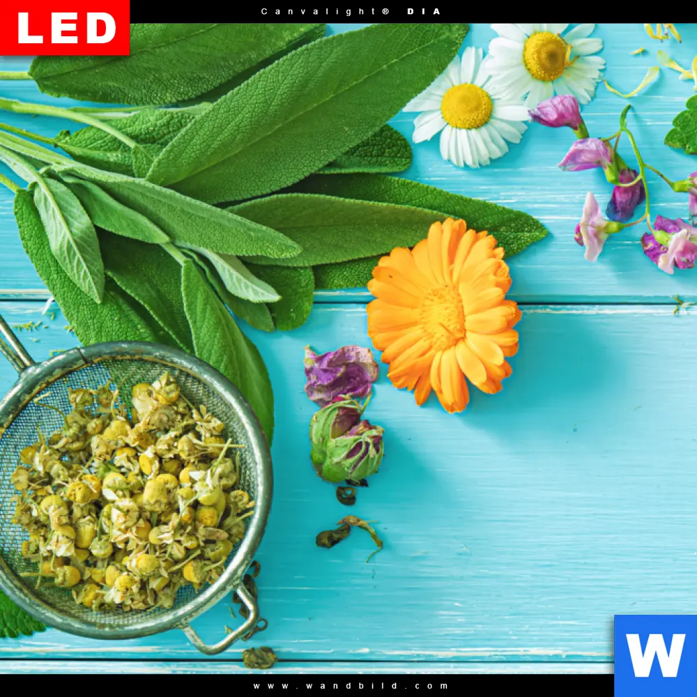 Wechselmotiv Acrylglas Canvalight® DIA | Kräuter auf blauem Holztisch | Panorama - Image 4