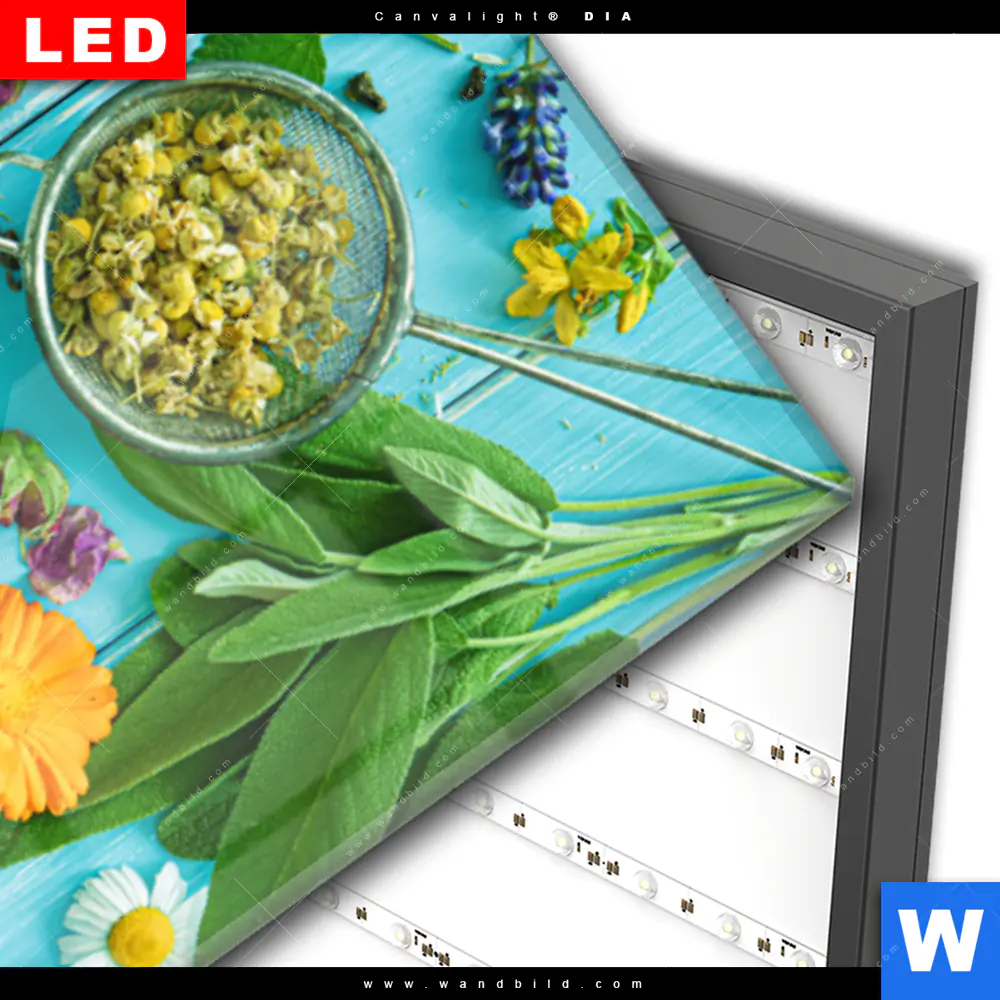 Wechselmotiv Acrylglas Canvalight® DIA | Kräuter auf blauem Holztisch | Schmal - Image 3