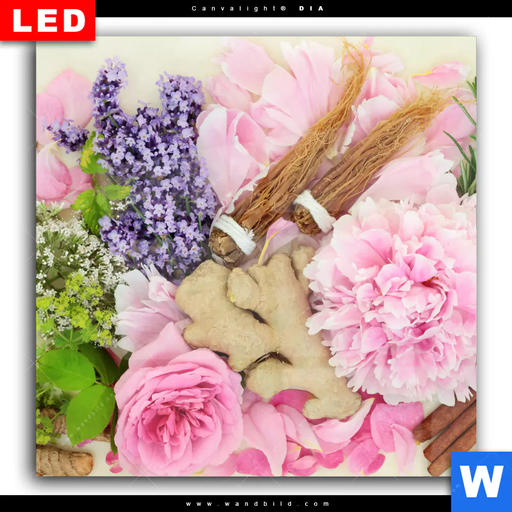 Wechselmotiv Acrylglas Canvalight® DIA | Kräuter & Blumen | Quadrat - Image 2