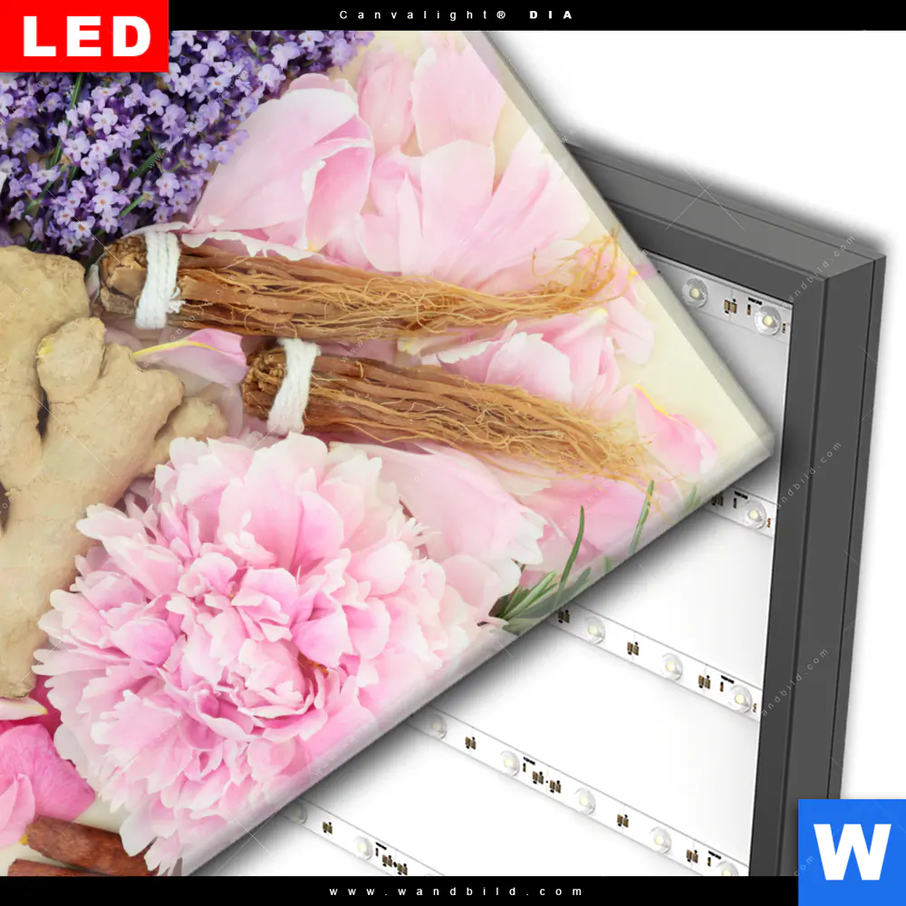 Wechselmotiv Acrylglas Canvalight® DIA | Kräuter & Blumen | Quadrat - Image 3