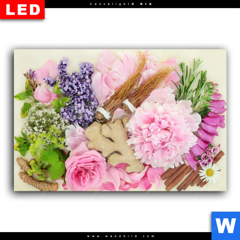 Wechselmotiv Acrylglas Canvalight® DIA | Kräuter & Blumen | Querformat - Image 2
