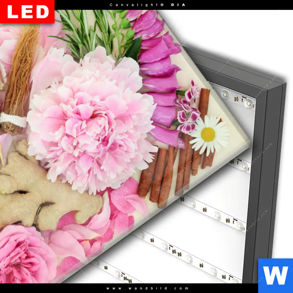 Wechselmotiv Acrylglas Canvalight® DIA | Kräuter & Blumen | Querformat - Image 3