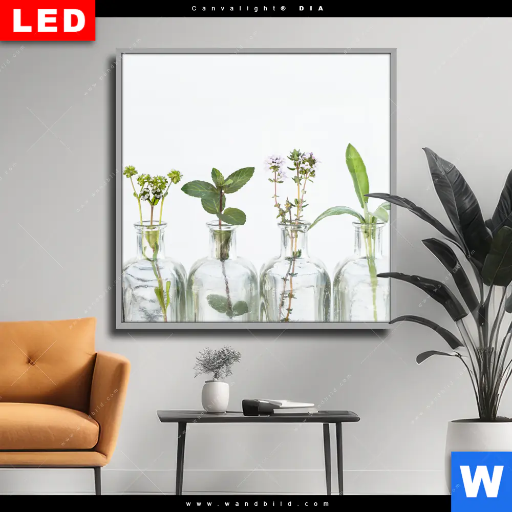 Wechselmotiv Acrylglas Canvalight® DIA | Kräuter in Flaschen | Quadrat