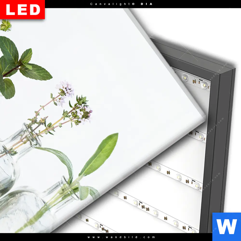 Wechselmotiv Acrylglas Canvalight® DIA | Kräuter in Flaschen | Quadrat - Image 3
