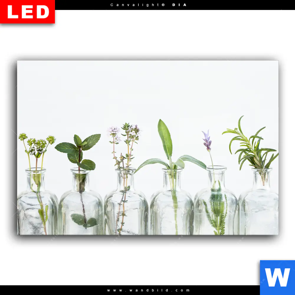 Wechselmotiv Acrylglas Canvalight® DIA | Kräuter in Flaschen | Querformat - Image 2