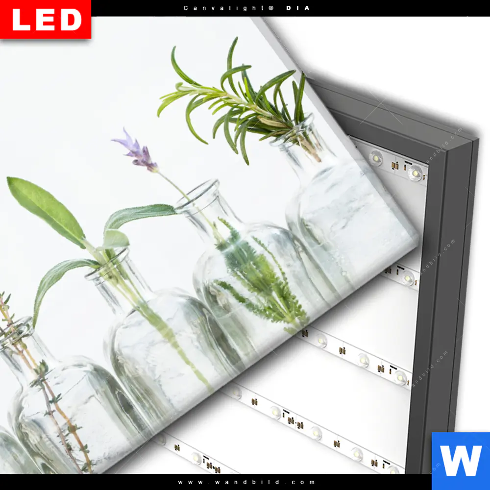 Wechselmotiv Acrylglas Canvalight® DIA | Kräuter in Flaschen | Querformat - Image 3