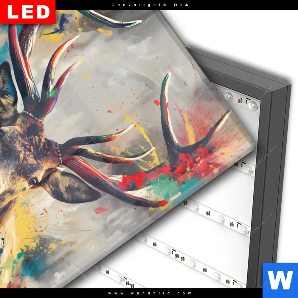 Wechselmotiv Acrylglas Canvalight® DIA | Kreativer Hirsch mit Farbspritzern | Hochformat - Image 3