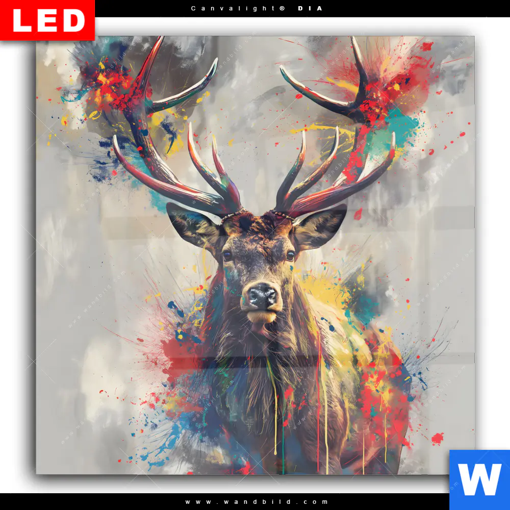 Wechselmotiv Acrylglas Canvalight® DIA | Kreativer Hirsch mit Farbspritzern | Quadrat - Image 2