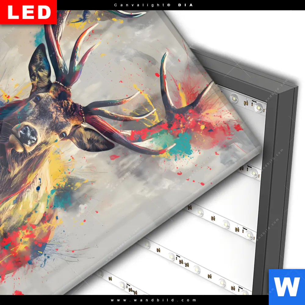 Wechselmotiv Acrylglas Canvalight® DIA | Kreativer Hirsch mit Farbspritzern | Quadrat - Image 3