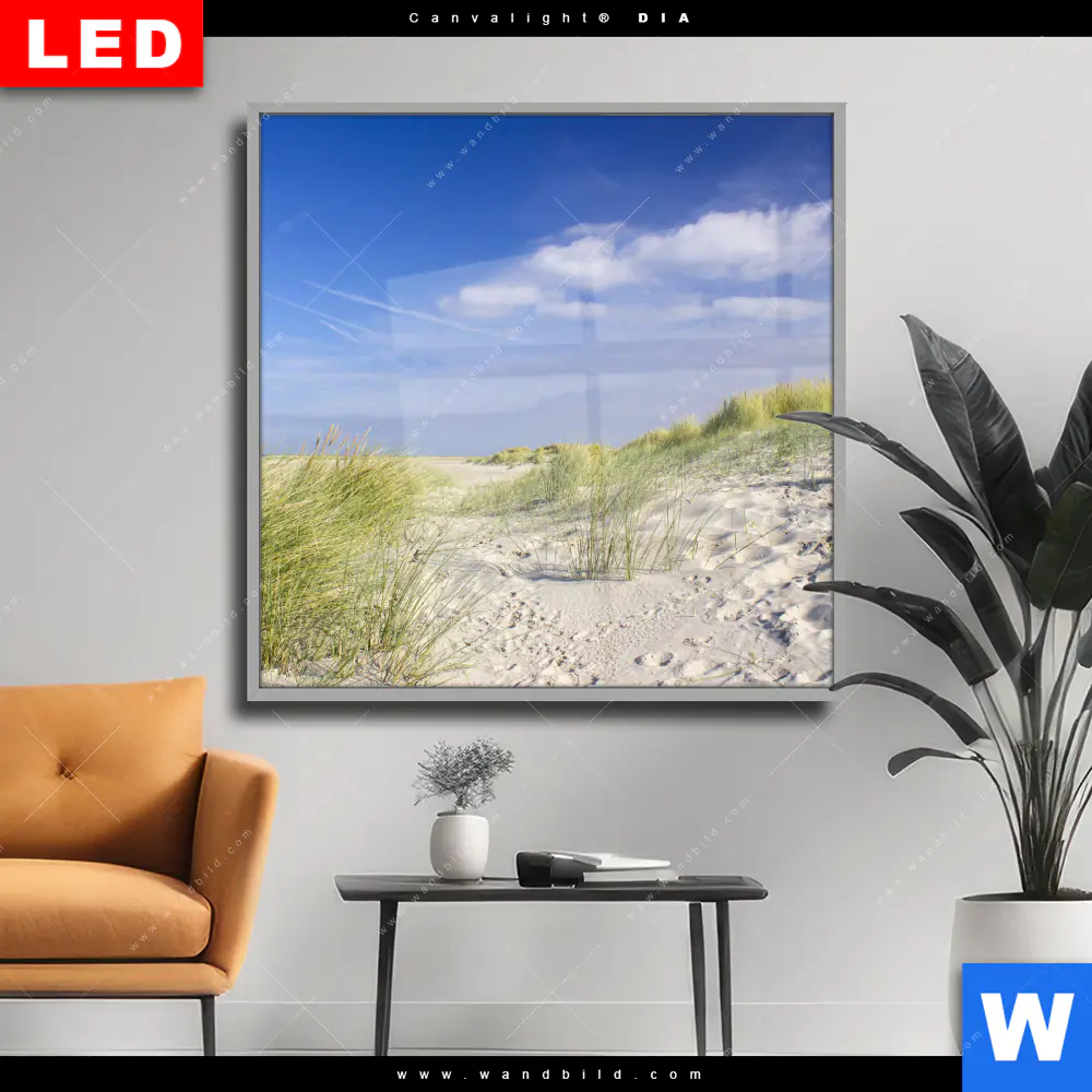 Wechselmotiv Acrylglas Canvalight® DIA | Küstenwanderung durch Sanddünen | Quadrat