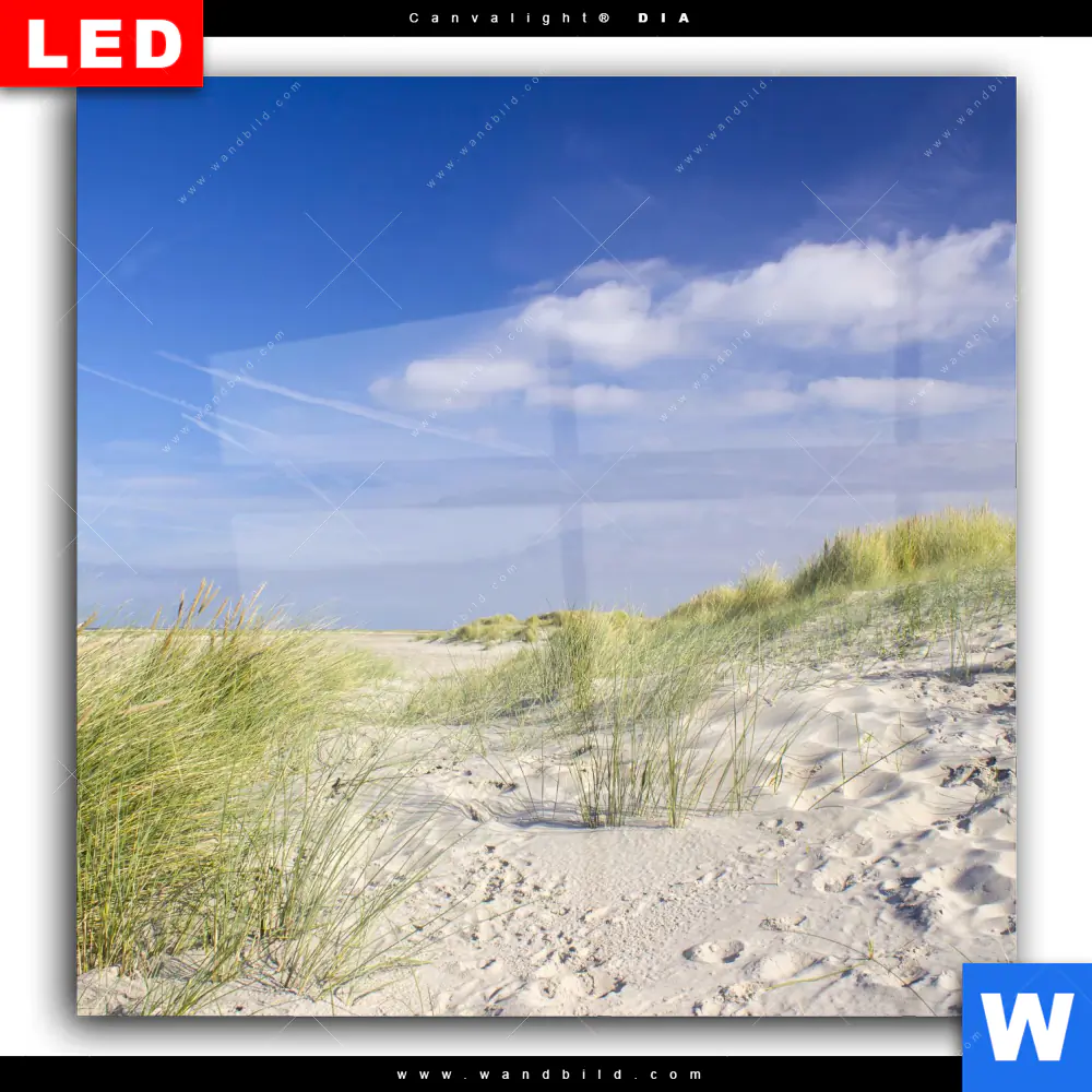 Wechselmotiv Acrylglas Canvalight® DIA | Küstenwanderung durch Sanddünen | Quadrat - Image 2
