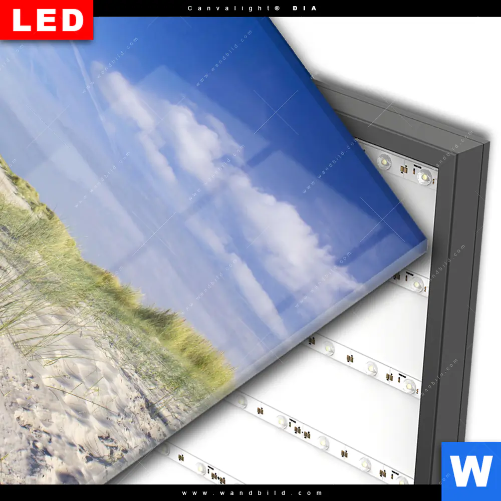 Wechselmotiv Acrylglas Canvalight® DIA | Küstenwanderung durch Sanddünen | Quadrat - Image 3