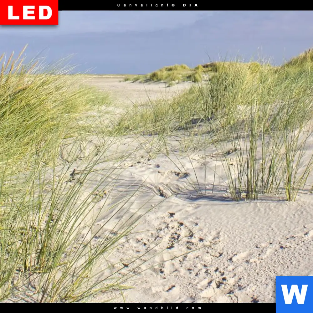 Wechselmotiv Acrylglas Canvalight® DIA | Küstenwanderung durch Sanddünen | Quadrat - Image 4