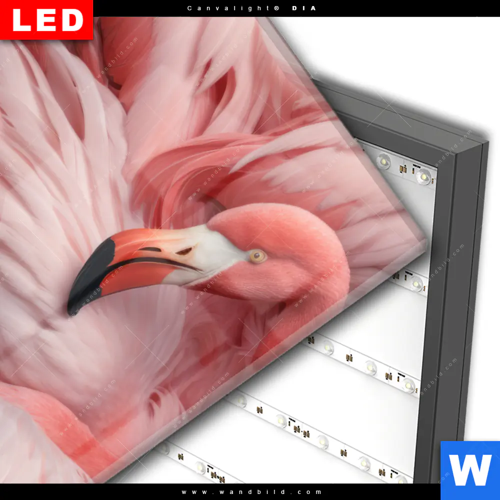Wechselmotiv Acrylglas Canvalight® DIA | Kuschelnde Flamingos | Hochformat - Image 3
