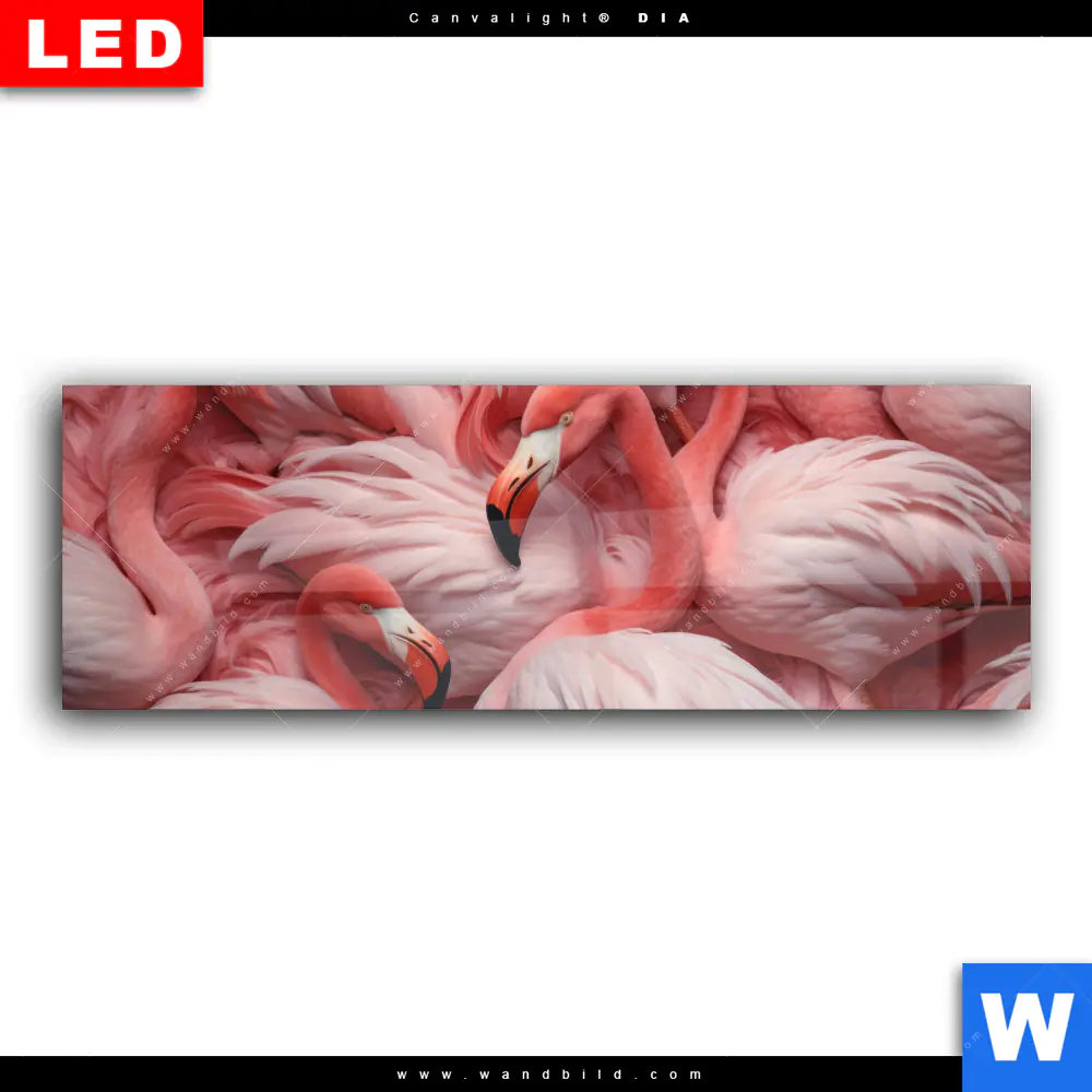 Wechselmotiv Acrylglas Canvalight® DIA | Kuschelnde Flamingos | Panorama - Image 2