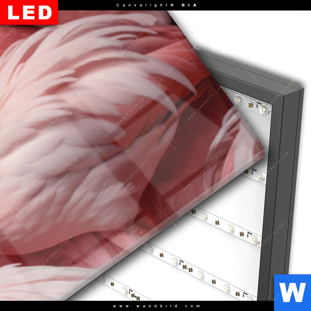 Wechselmotiv Acrylglas Canvalight® DIA | Kuschelnde Flamingos | Panorama - Image 3
