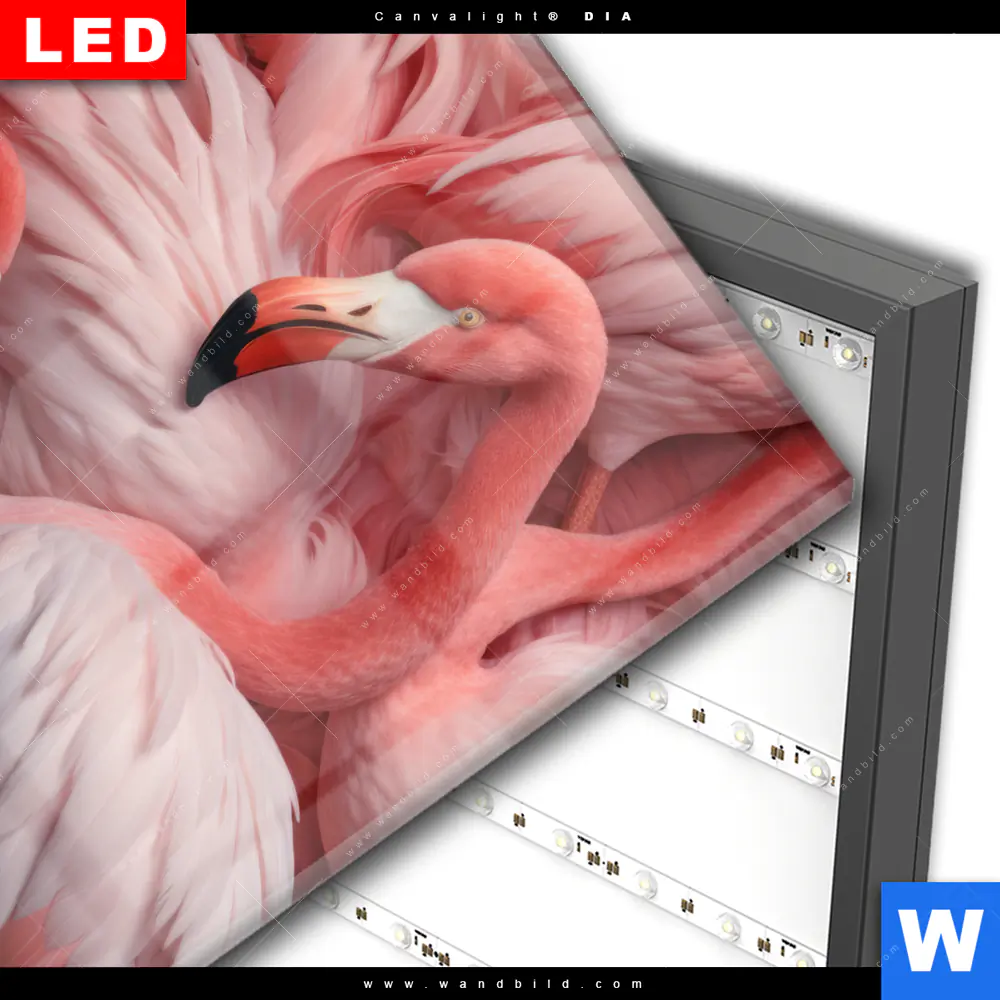 Wechselmotiv Acrylglas Canvalight® DIA | Kuschelnde Flamingos | Quadrat - Image 3