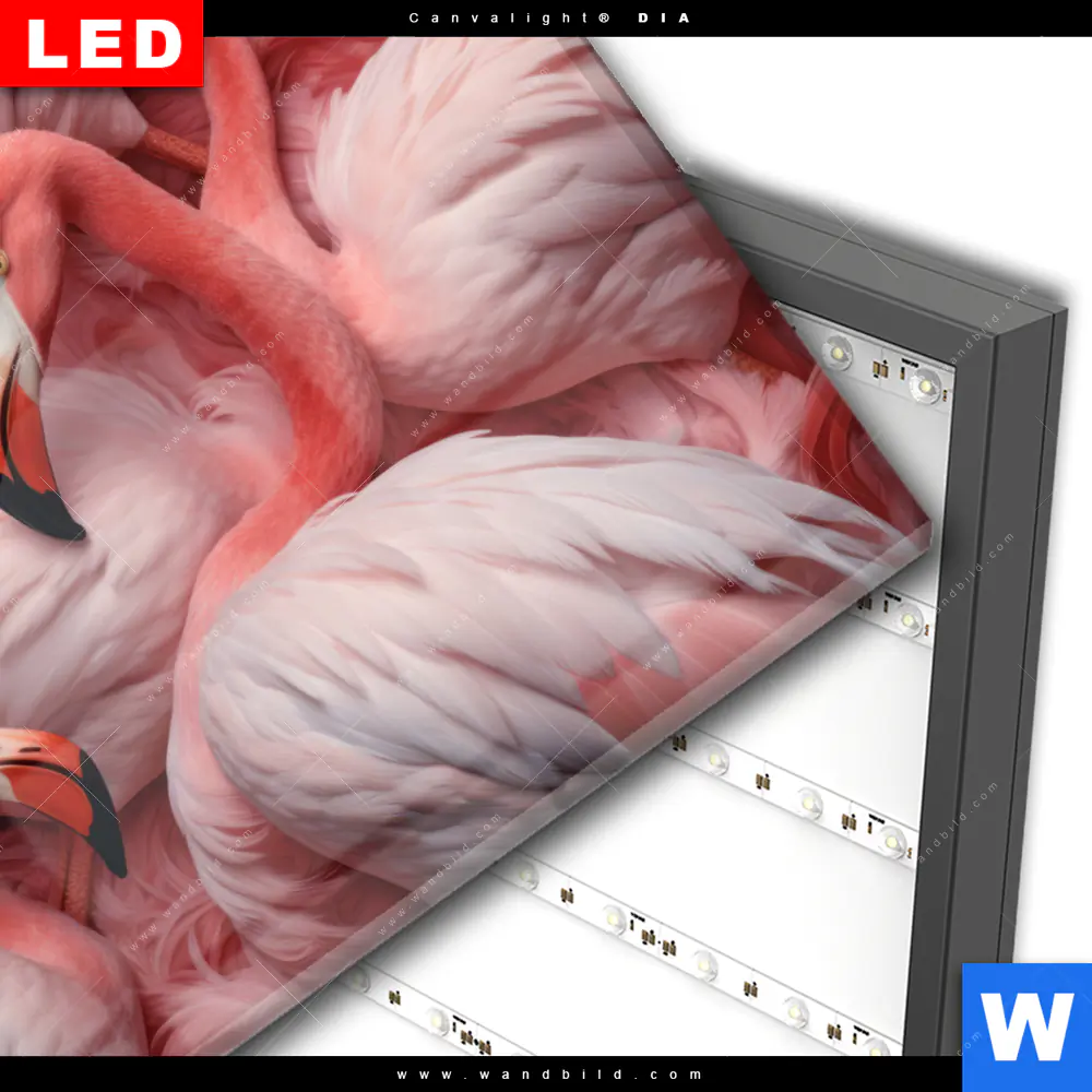 Wechselmotiv Acrylglas Canvalight® DIA | Kuschelnde Flamingos | Querformat - Image 3